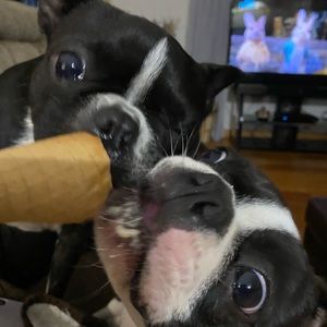 Meet your Posher, Amy